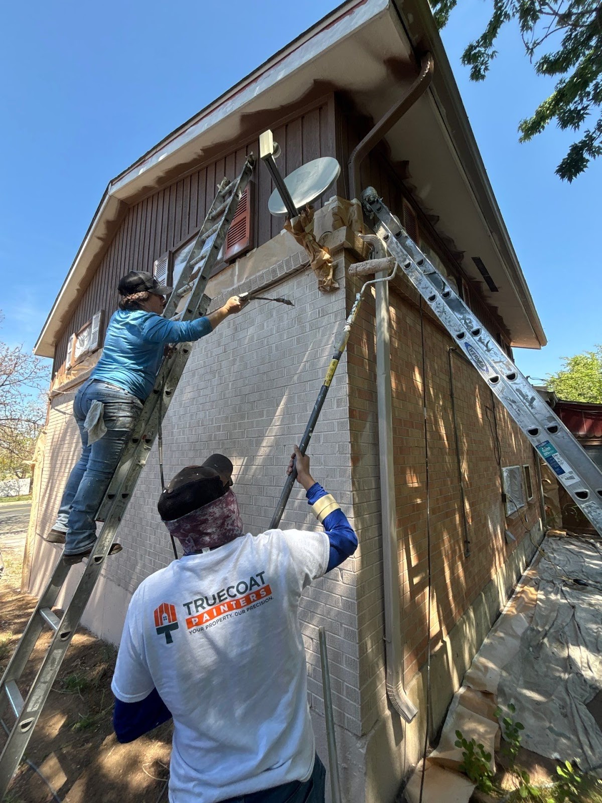 TrueCoat Painters business photo 2 - Painting in Boulder