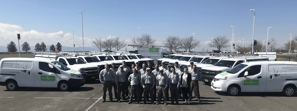 EnviroPest business photo 2 - Pest Control in Boulder