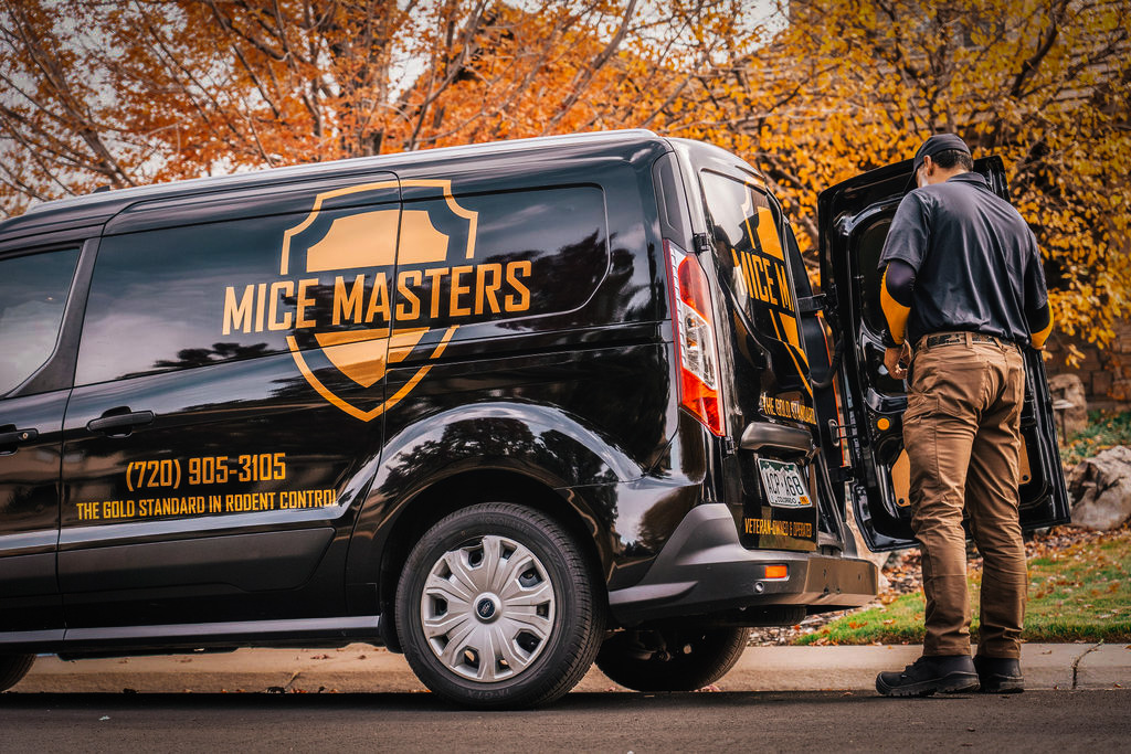 Mice Masters - Boulder business photo 2 - Pest Control in Boulder