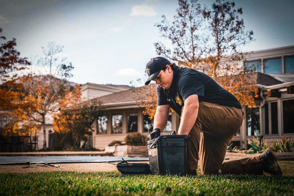 Mice Masters - Boulder business photo 3 - Pest Control in Boulder