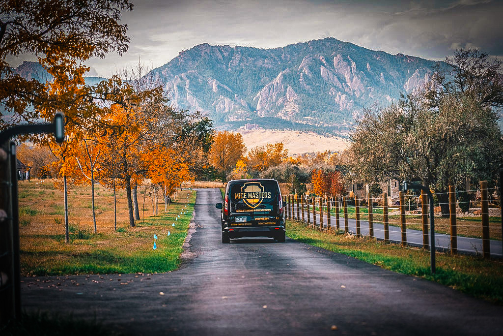Mice Masters - Boulder business photo 4 - Pest Control in Boulder