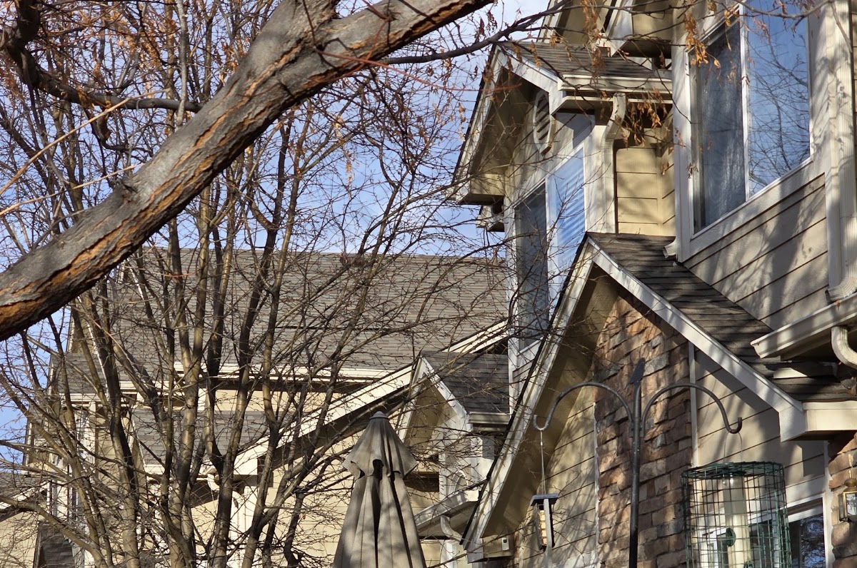 GreenPoint Roofing Boulder business photo 4 - Roofing in Boulder