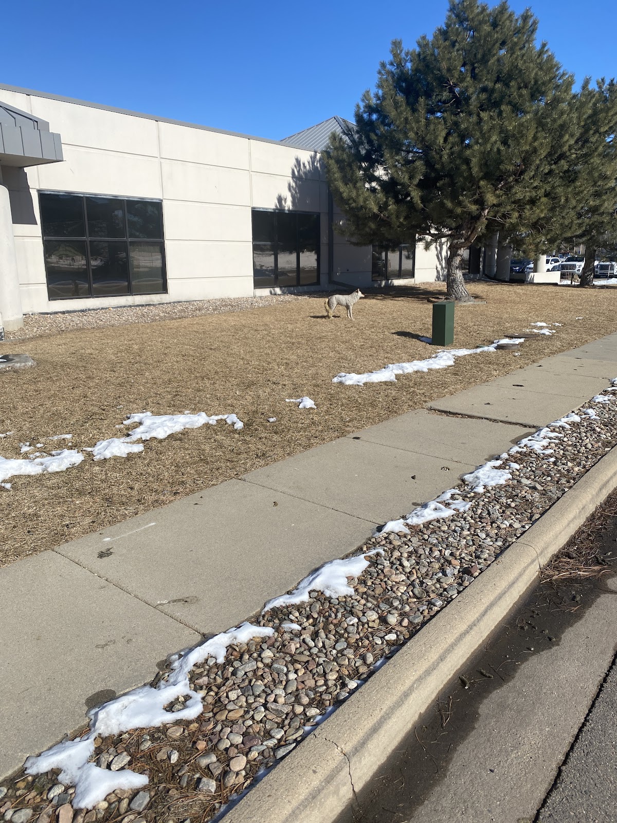 Black Roofing & Waterproofing business photo 3 - Roofing in Boulder