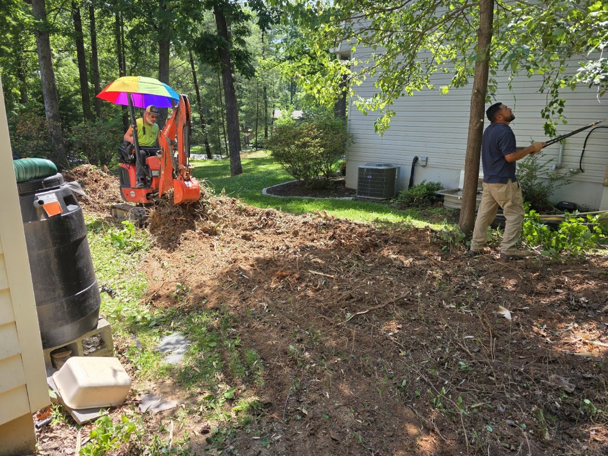 Columbia Tree & Lawn Service business photo 2 - Landscaping in Columbia