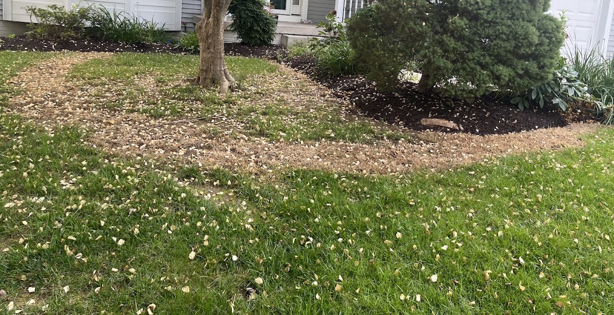 Bluestone Landscaping LLC business photo - Landscaping in Columbia