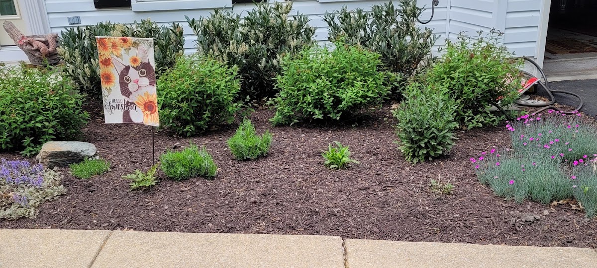 Bluestone Landscaping LLC business photo 3 - Landscaping in Columbia