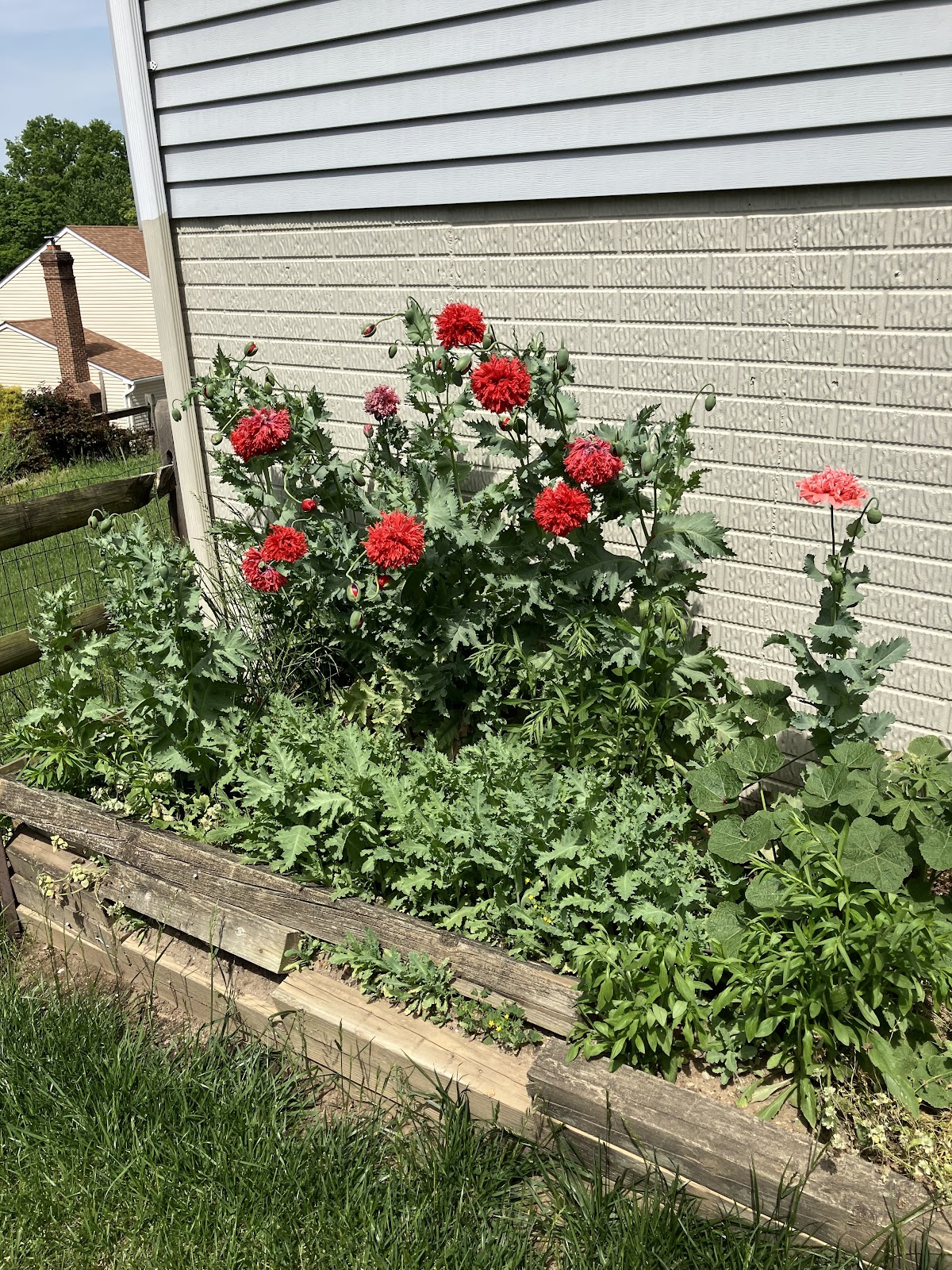 Bluestone Landscaping LLC business photo 4 - Landscaping in Columbia