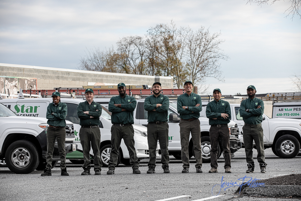 American Pest business photo - Pest Control in Columbia