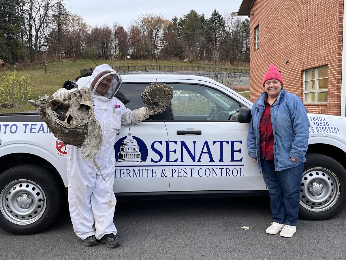 Senate Termite & Pest Control business photo 2 - Pest Control in Columbia
