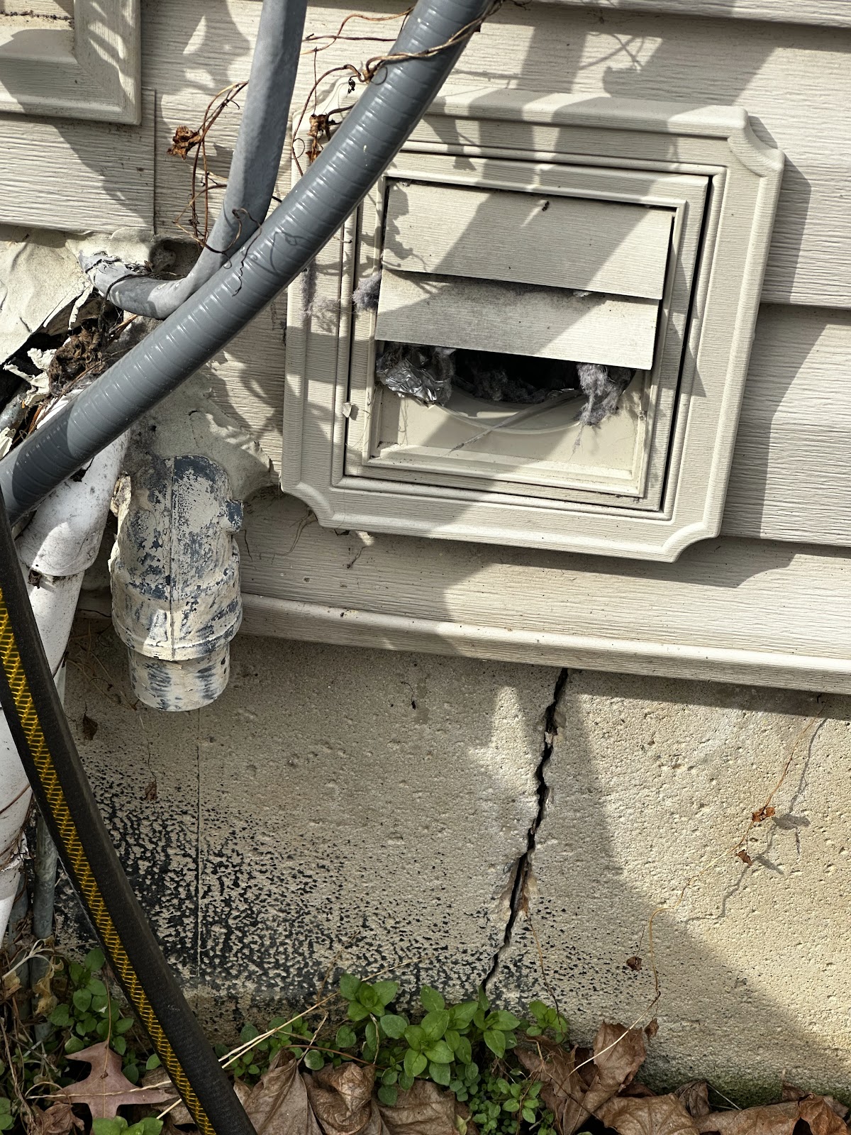 Home Advantage Pest business photo 2 - Pest Control in Columbia