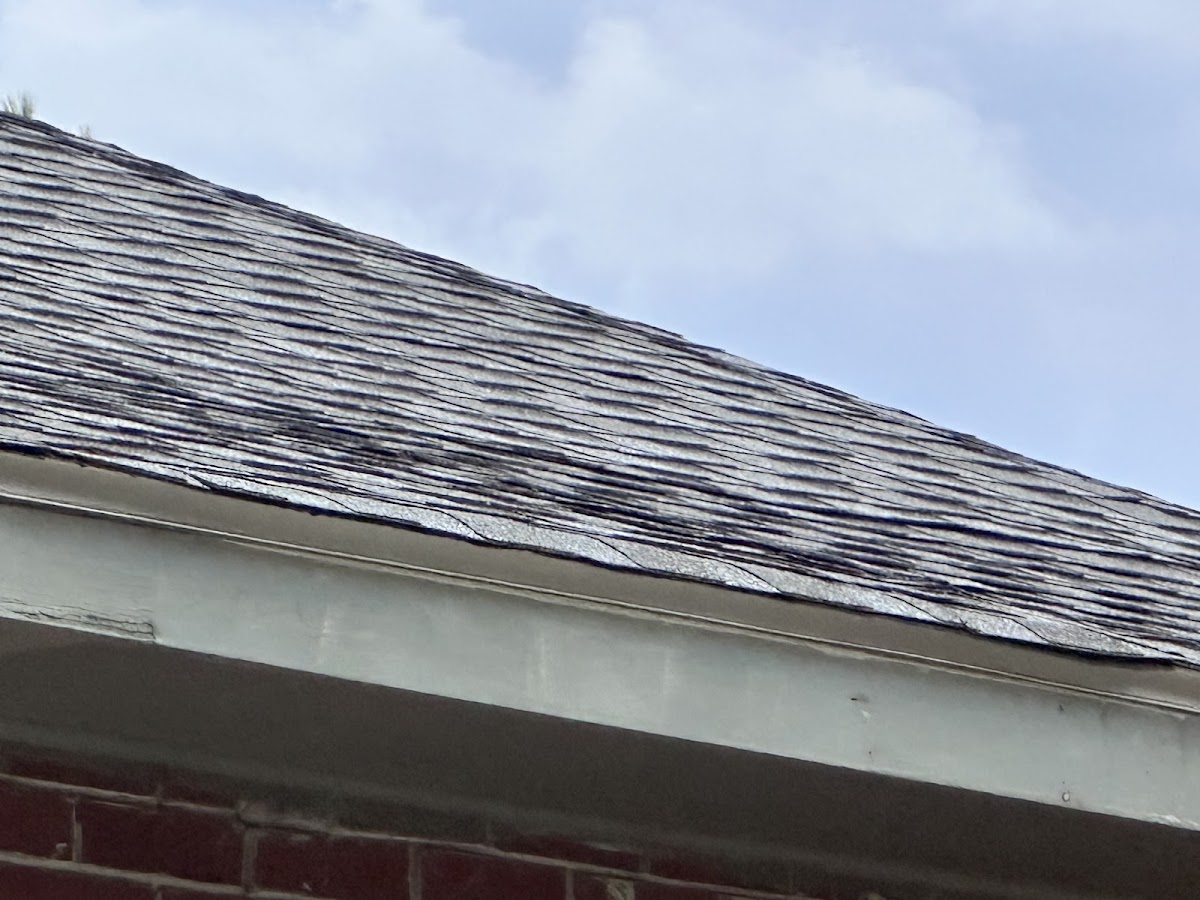 One Day Roofing business photo 4 - Roofing in Columbia