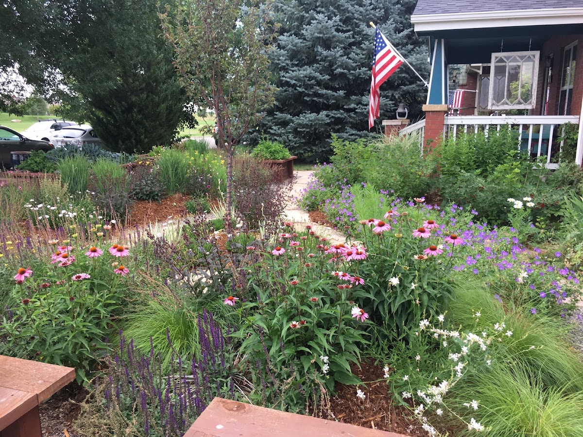 J & S Landscape business photo 4 - Landscaping in Longmont