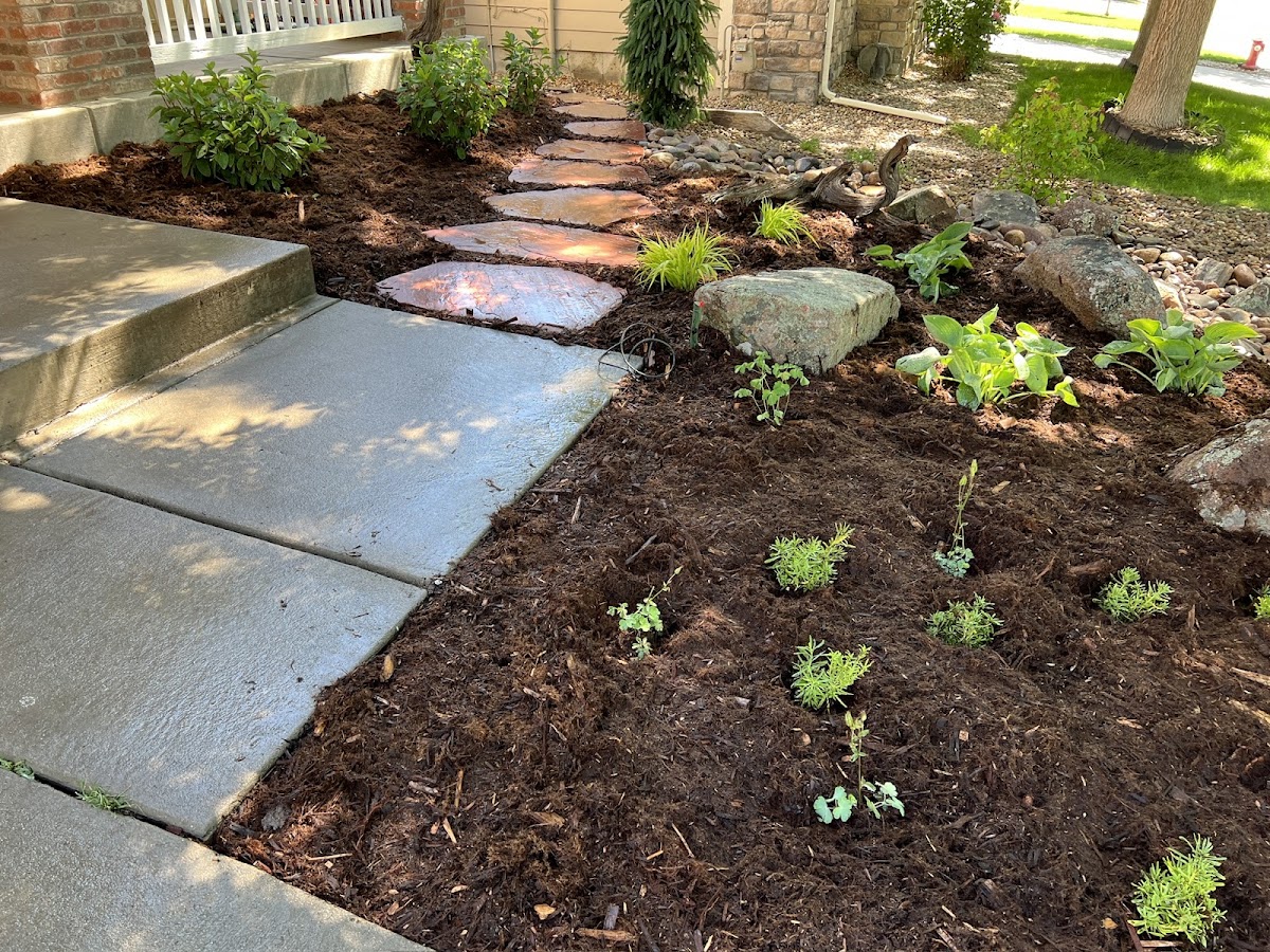 Glacier View Landscape and Design, Inc. business photo - Landscaping in Longmont
