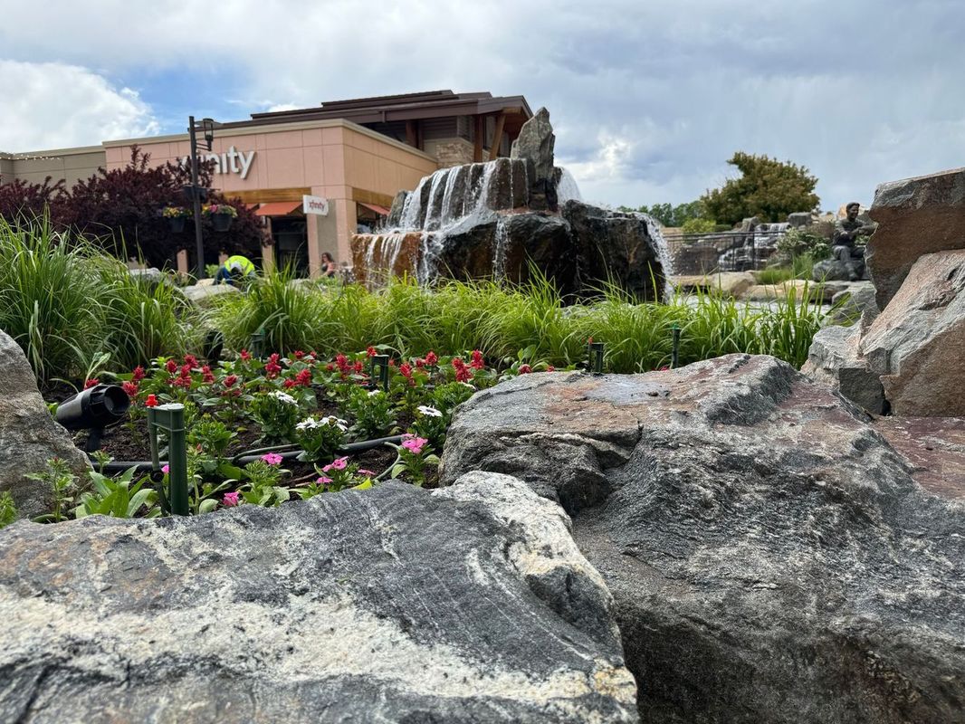 Ward's Lawn Service business photo 4 - Landscaping in Longmont