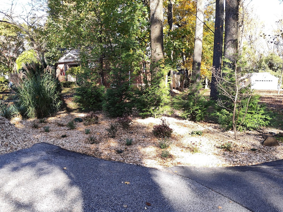Native Spaces Landscaping LLC business photo 4 - Landscaping in Longmont