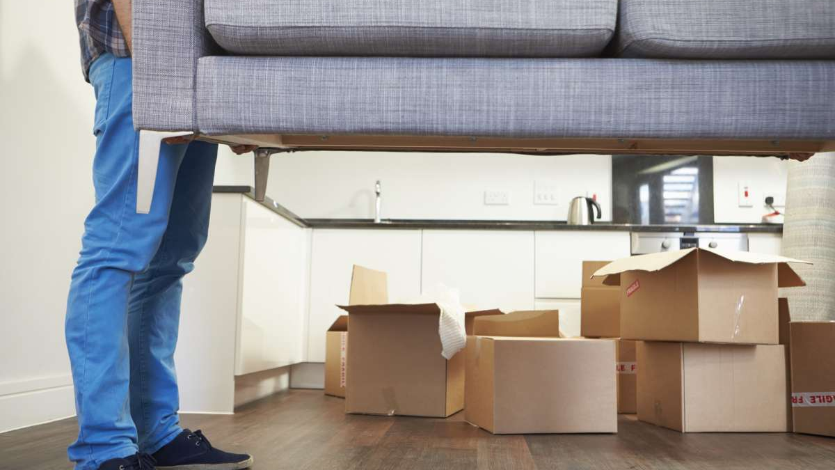 Summit Moving Services LLC business photo - Moving in Longmont