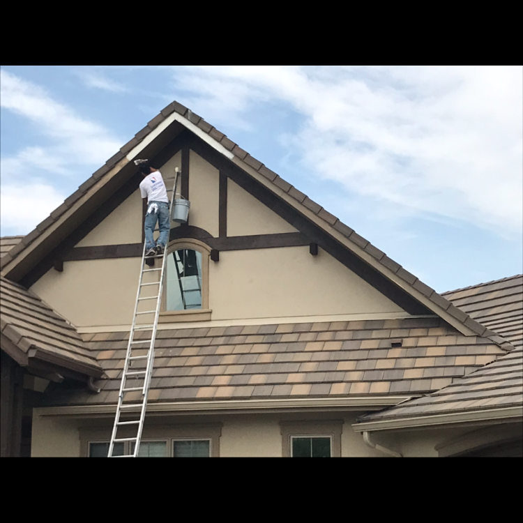 Elite Painting Colorado business photo 4 - Painting in Longmont