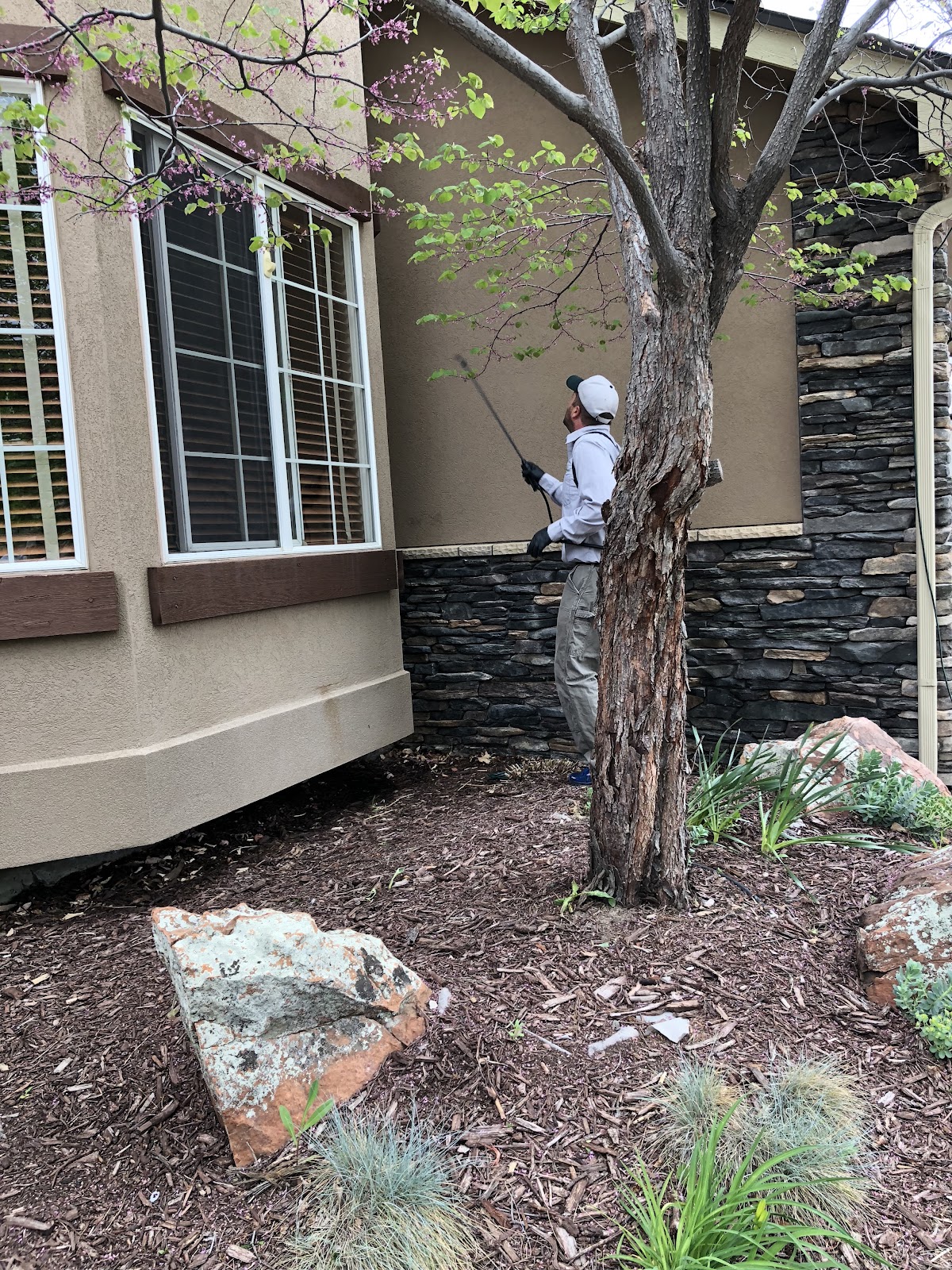 EnviroPest business photo 2 - Pest Control in Longmont