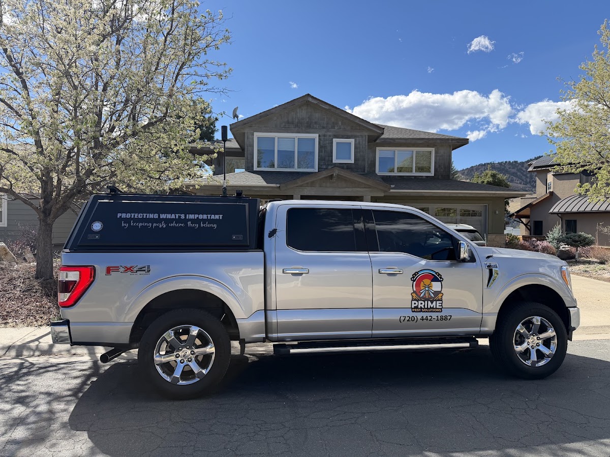 Prime Pest Solutions business photo 2 - Pest Control in Longmont