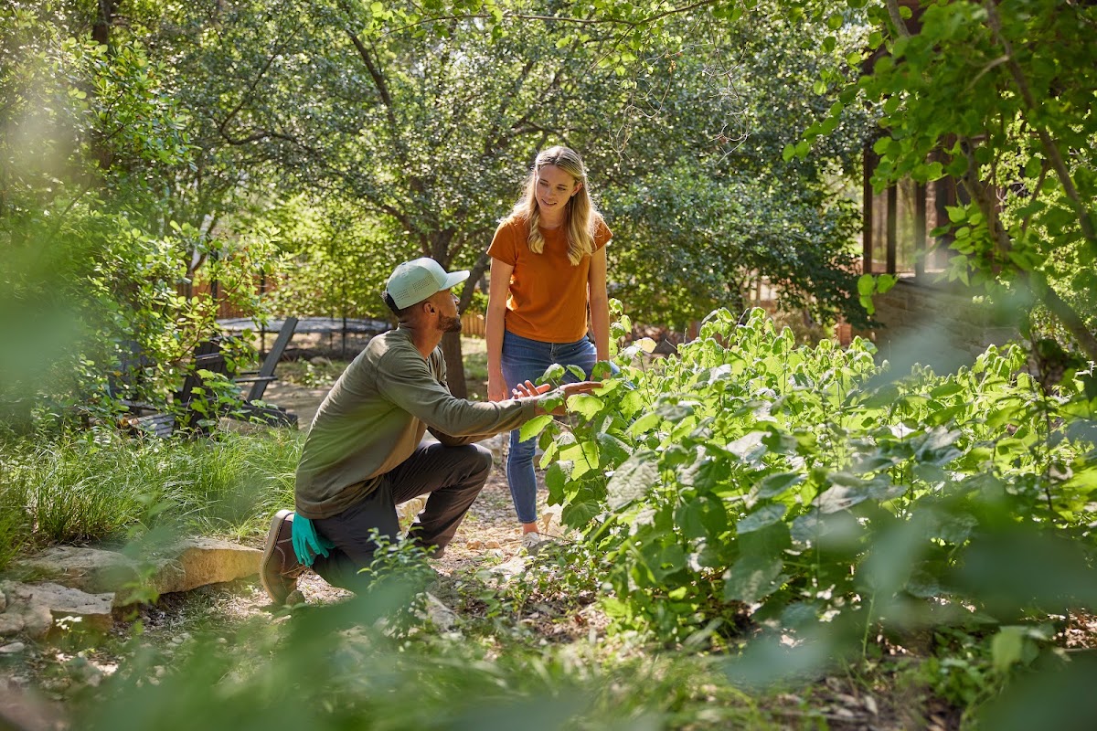 Aptive Pest Control business photo 3 - Pest Control in Longmont