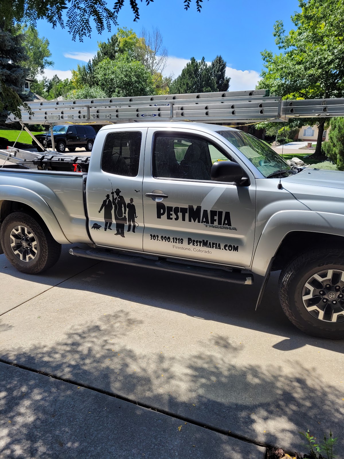 Pest Mafia business photo - Pest Control in Longmont