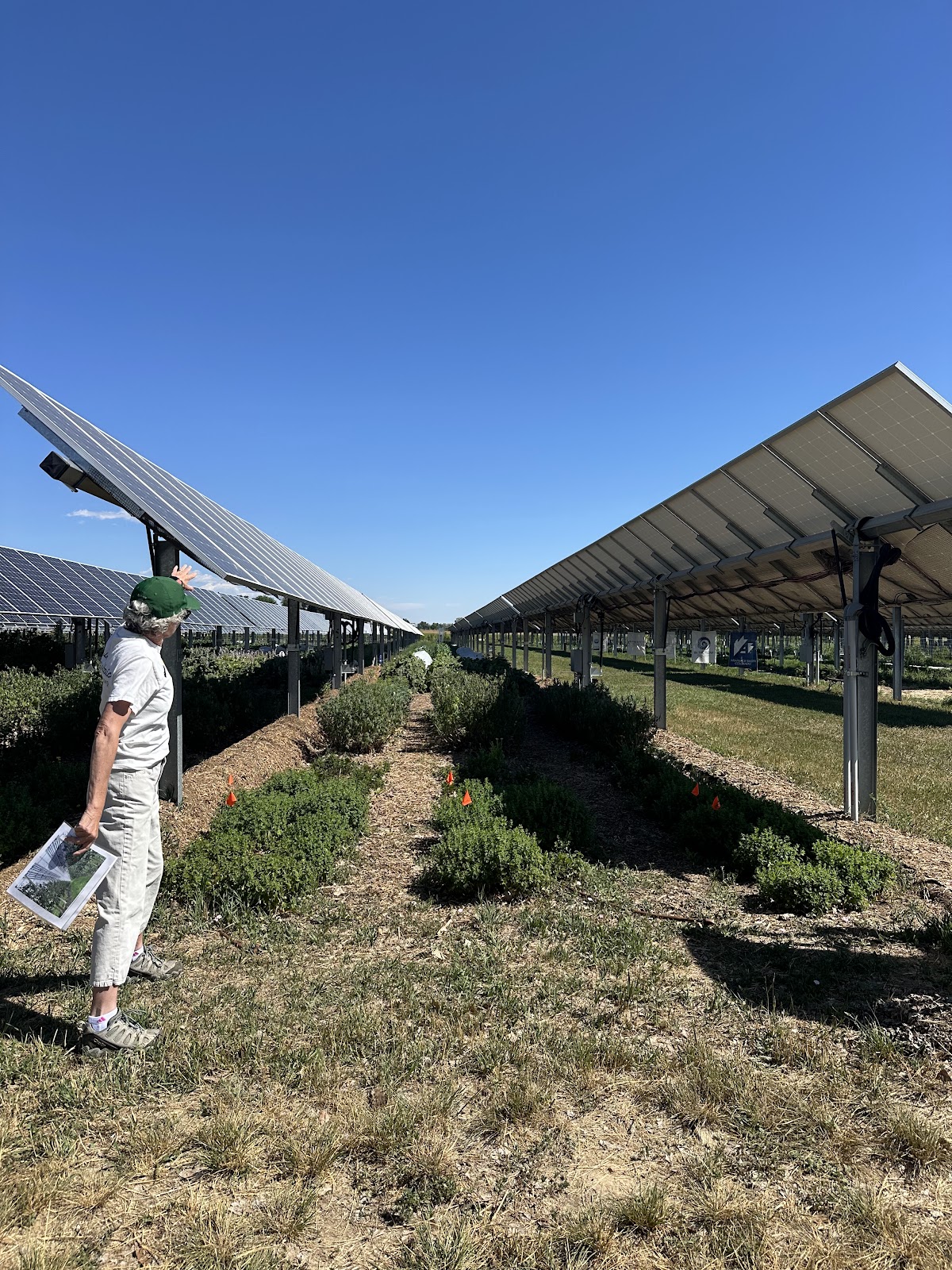 Jack's Solar Garden business photo 4 - Solar in Longmont