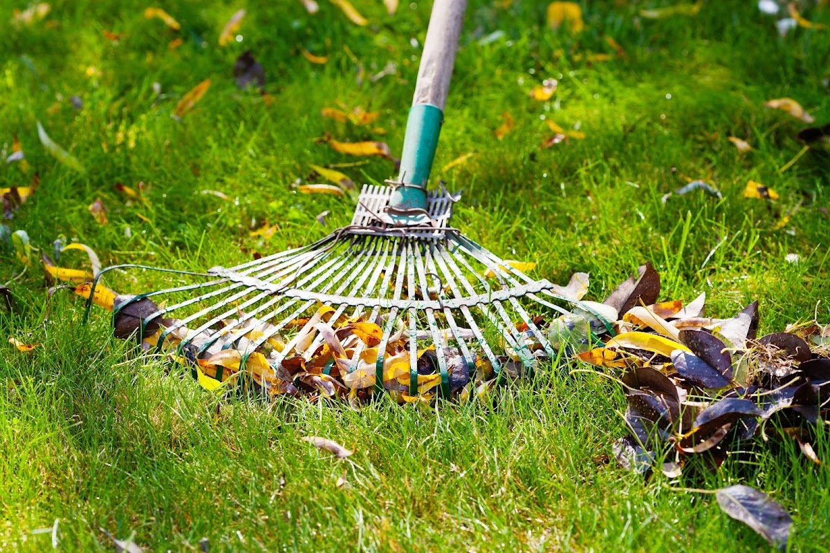 Southfield Landscaping business photo 3 - Landscaping in Southfield