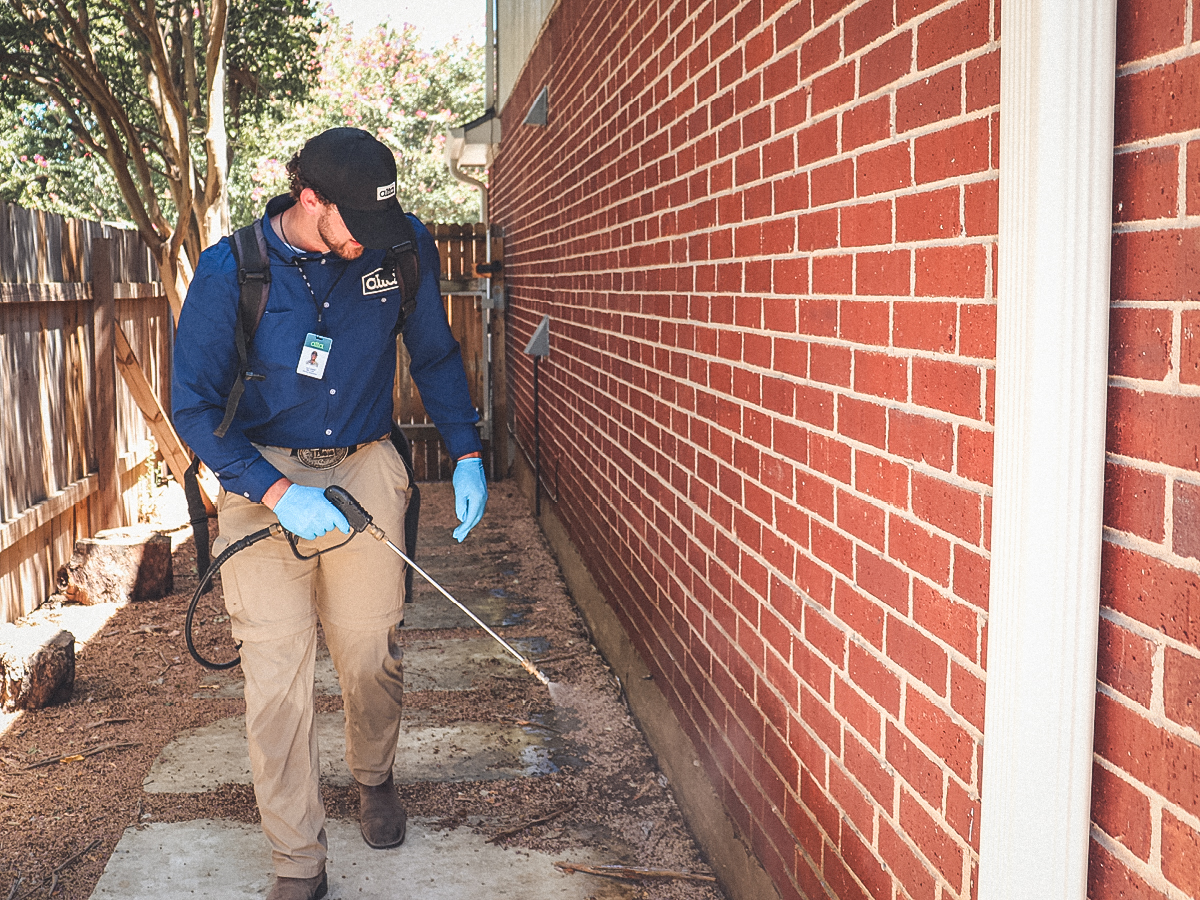Alta Pest Control