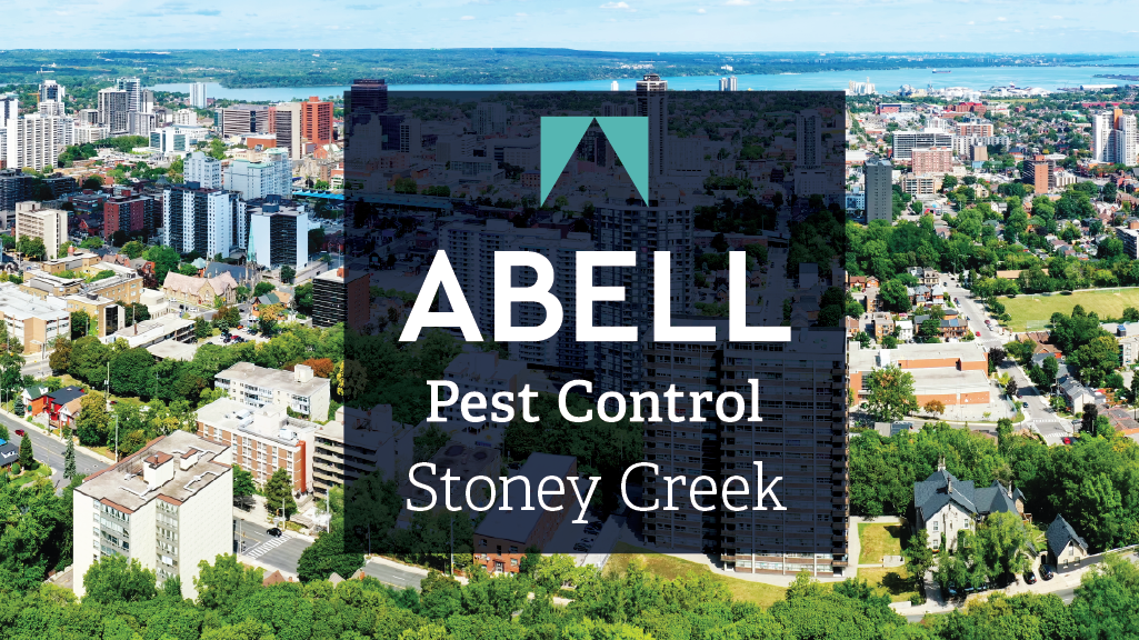 Abell Pest Control