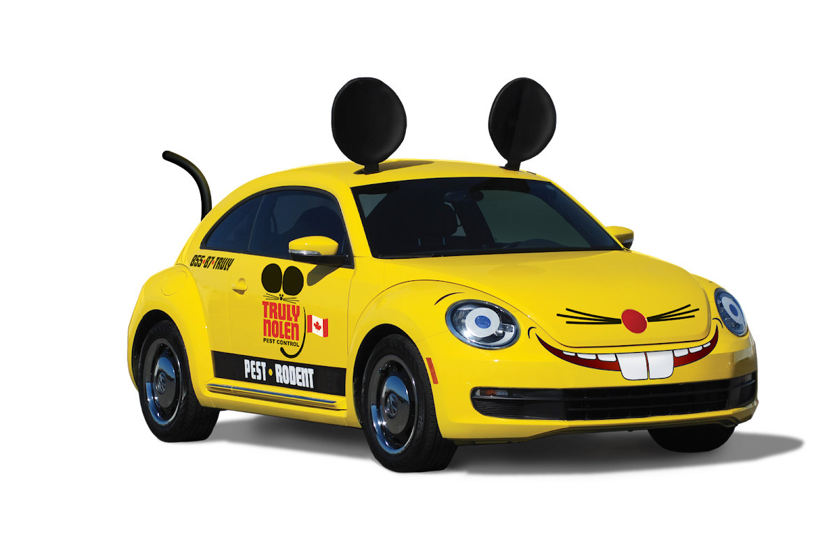 Truly Nolen Pest Control & Exterminators Waterloo
