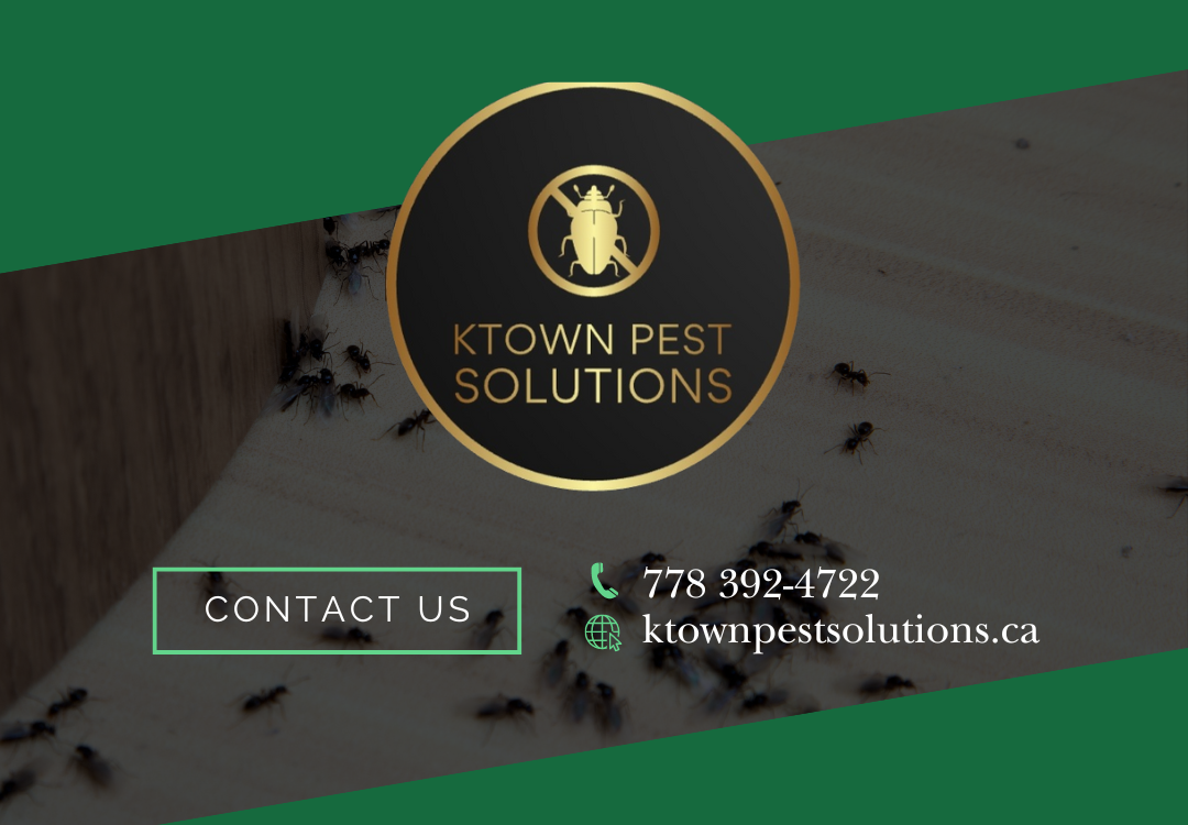 Ktown Pest Solutions