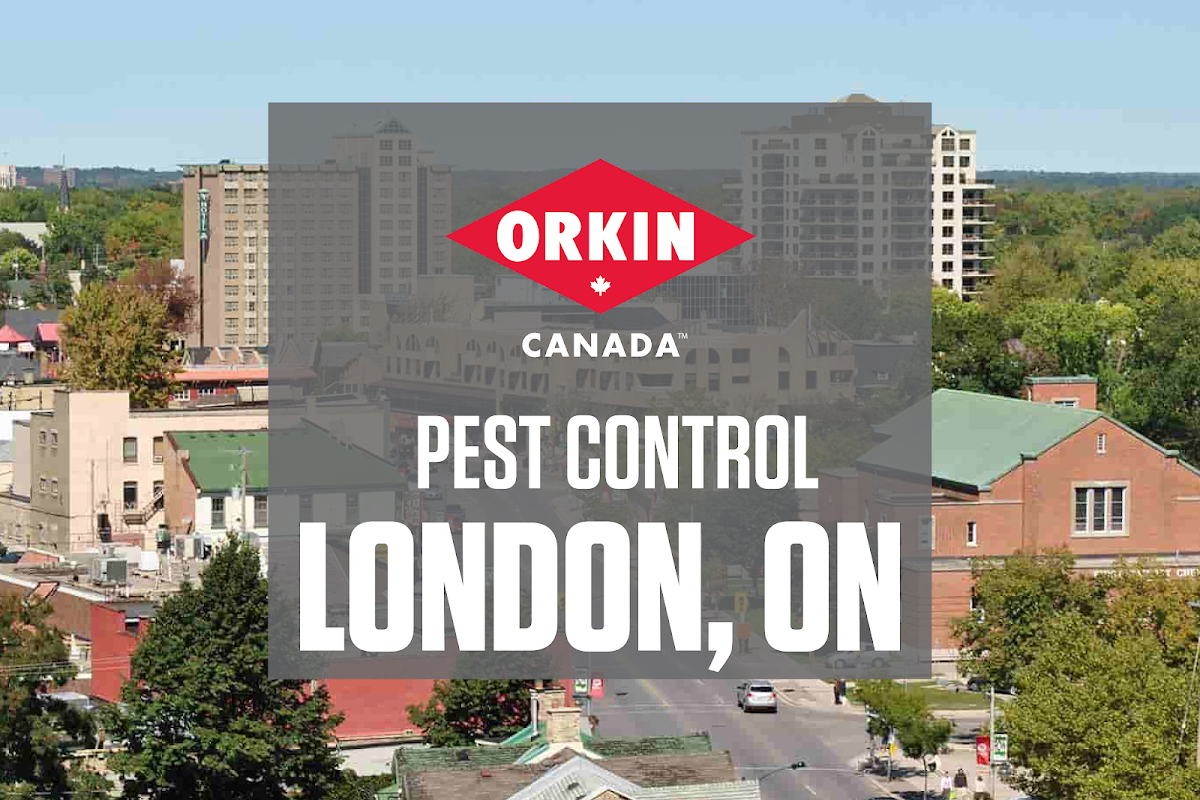 Orkin Canada Pest Control